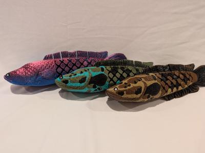 Flexi Northern Snakehead [Channa Argus]