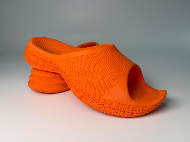 Culter (fish) slides