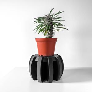 The Miko Display Stand for Plants or Unique Items | Modern Home Decor
