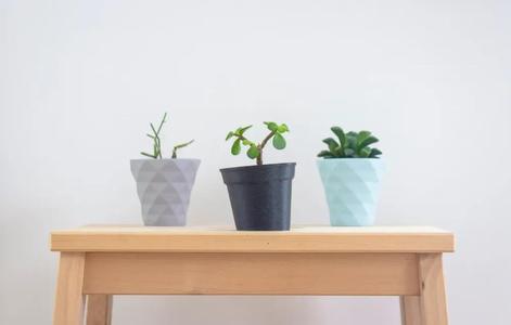 The Little Leaning Plant Pot