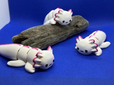 Axolotl Fidget Pal