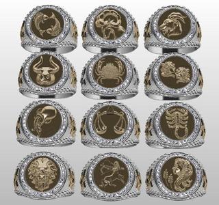 Zodiac rings