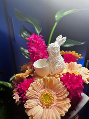 Voronoi Rabbit With Pot