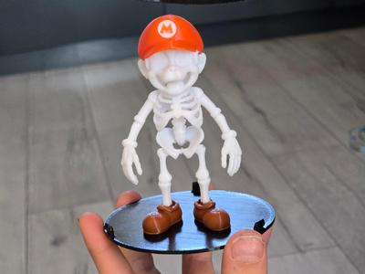 Super Mario skeleton