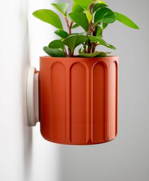 Wall Planter with Hidden Drip Tray – LG01