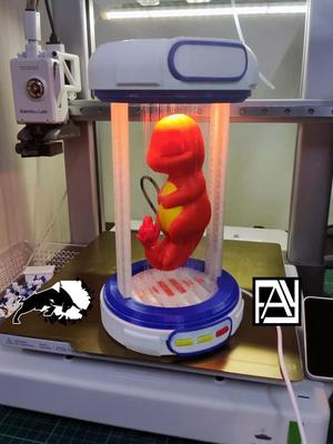 Suspended Charmander with LED kit 001