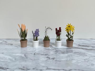 Flora Collection, fridge magnets.