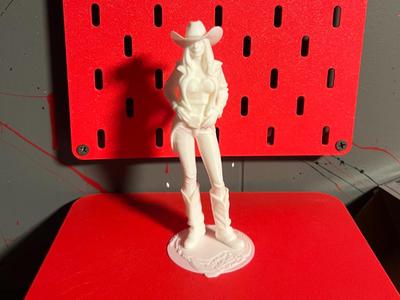 Cute Cowgirl Pin-Up