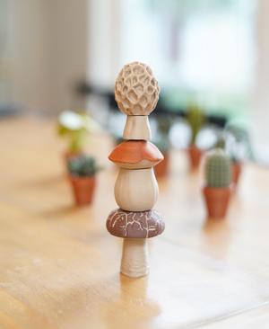 Magnetic Mushrooms – Fidget Toy with Magnetics, Joystick, Slider, Pop Fidgets – Pocket Plants