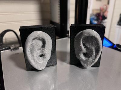 Audiologist Ear Model