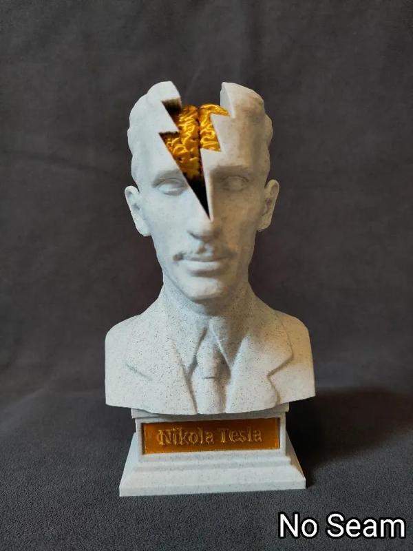 Insights into a Genius: Nikola Tesla