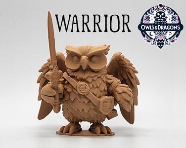 The Warrior – Owls & Dragons