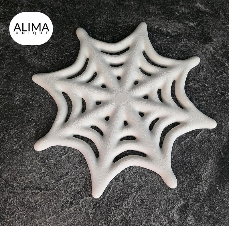 Dragon – spider web egg