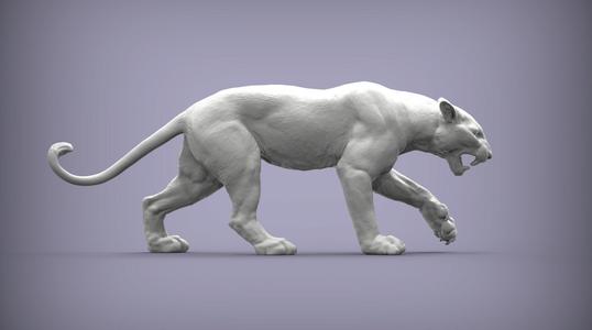 panther