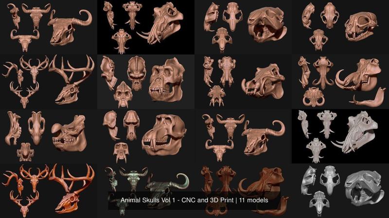 Animal Skulls Vol 1 – CNC and 3D Print 3D Model Collection