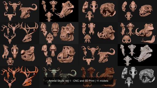 Animal Skulls Vol 1 – CNC and 3D Print 3D Model Collection