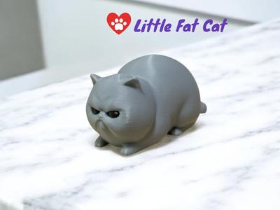Angry Little Fat Cat