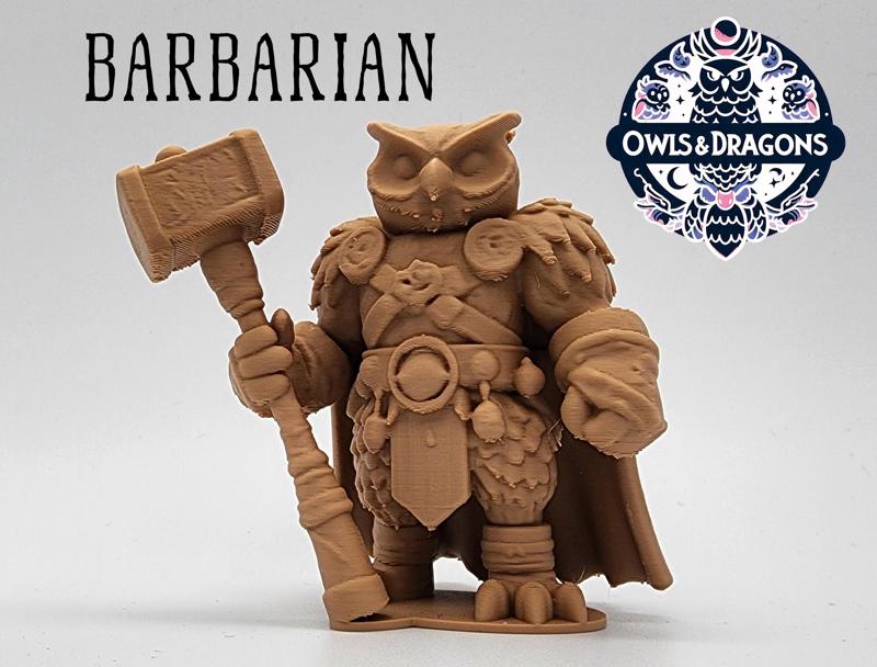 The Barbarian – Owls & Dragons