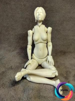 Female Figure Jointed