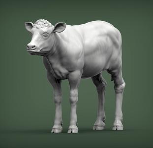Calf 3D print model cow