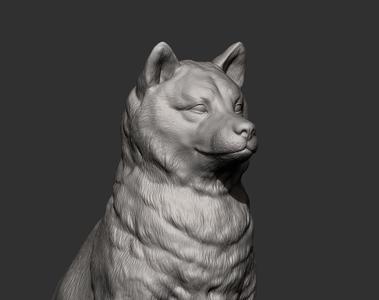 shiba inu