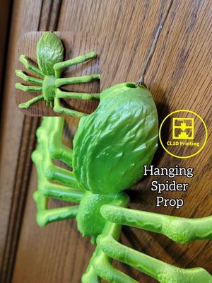 Hanging Spider