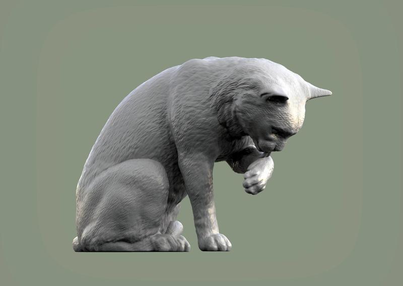 Cat for 3d printing 3D print model