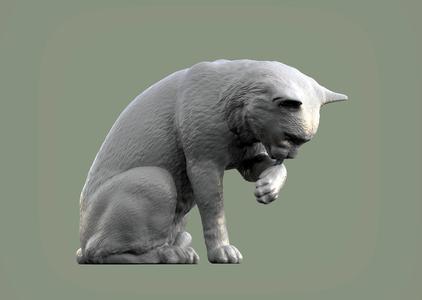 Cat for 3d printing 3D print model