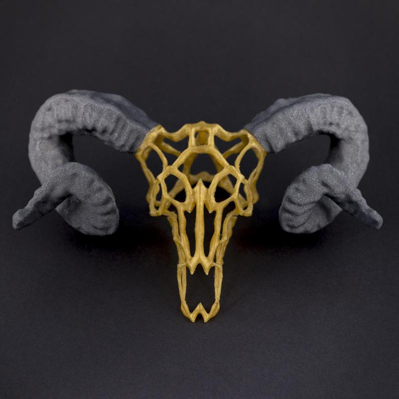 Wire Skull // Ram