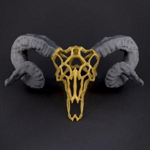 Wire Skull // Ram