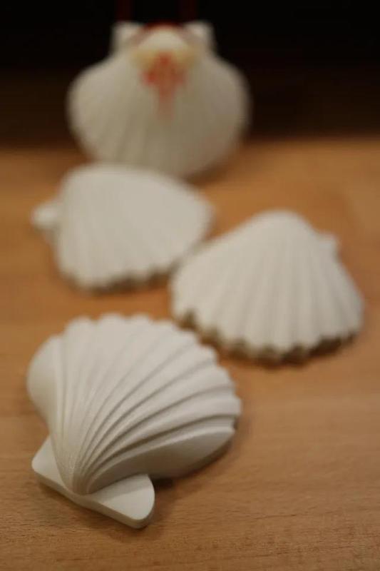 Bilderrahmen mit Jakobsmuscheln