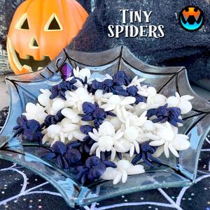 Tiny Spider