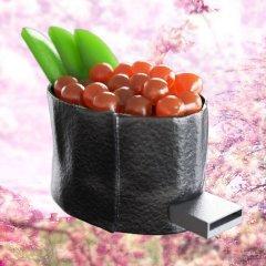 Flash Memory Stick Sushi Ikura Case
