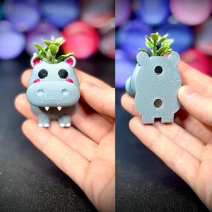 Hippo’pot’amus