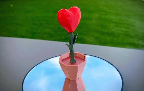 Heart Blooming