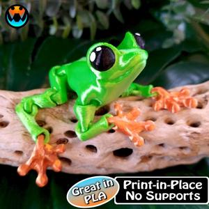 Cinder Frog