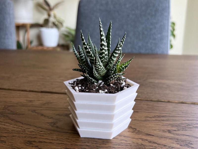 Hex Planter