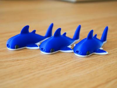Cute Tiny Toothless Shark – Shark with No Bite