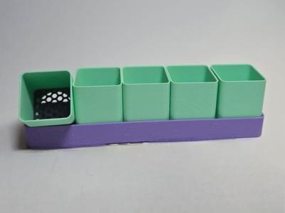 Seed Starter Set