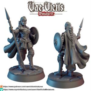 Amazon elf warrior [PRE-SUPPORTED]