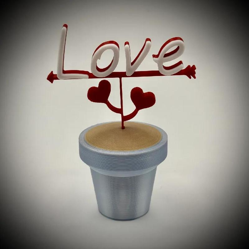 Love Pot Plant with Heart Leaves and Arrow