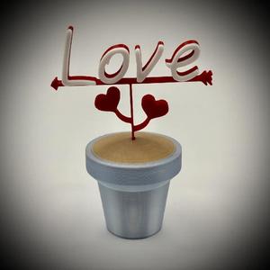 Love Pot Plant with Heart Leaves and Arrow