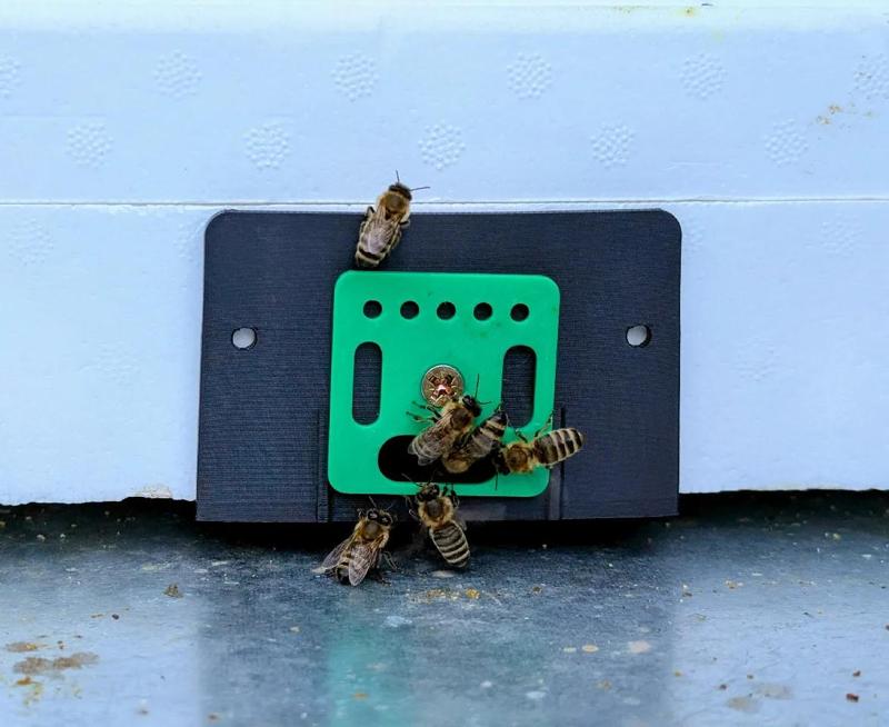 Mini Plus beehive entrance   