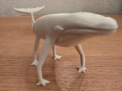 WTF whale