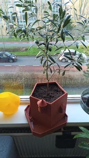 Tower-flower pot (Self watering)