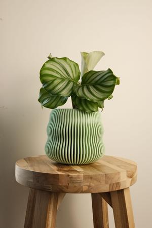 Apollo Pot with Tray