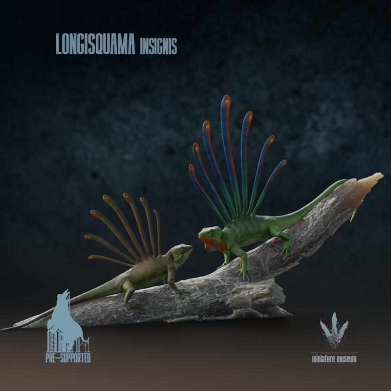 Longisquama insignis : Male and Female