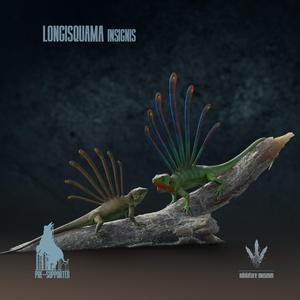 Longisquama insignis : Male and Female