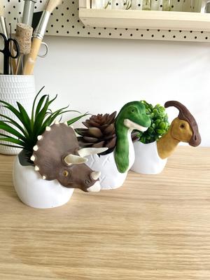 Dino Eggs Set of 3 – Planter / Pot