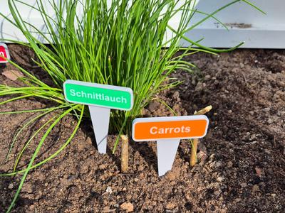 Plant marker with interchangeable plates